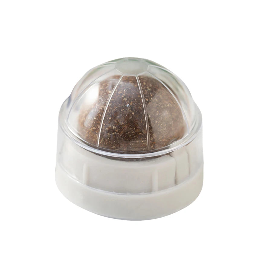 Spinning Catnip Mint Ball for Cats