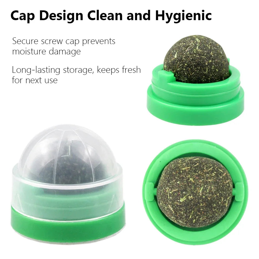 Spinning Catnip Mint Ball for Cats