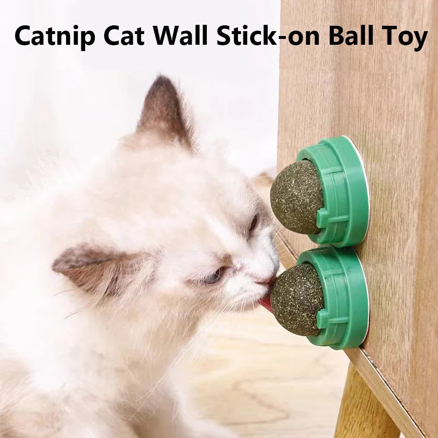 Spinning Catnip Mint Ball for Cats