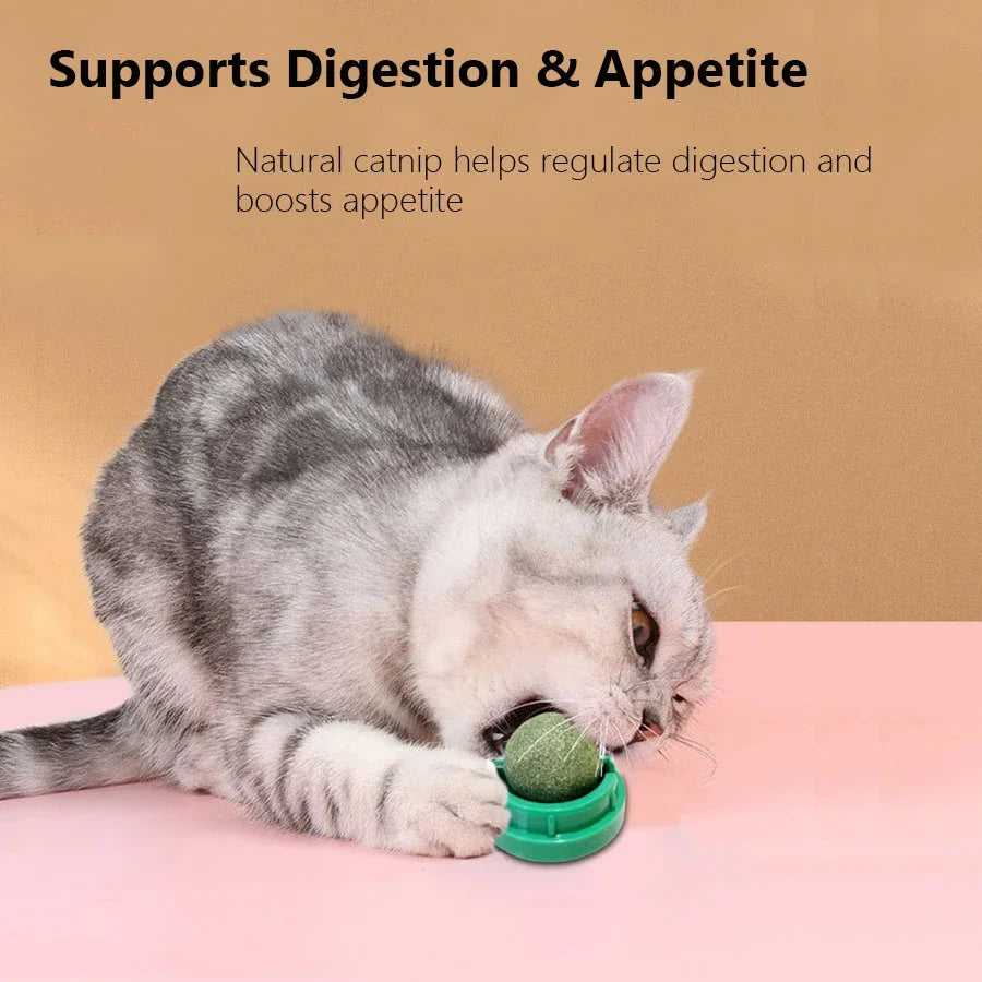 Spinning Catnip Mint Ball for Cats