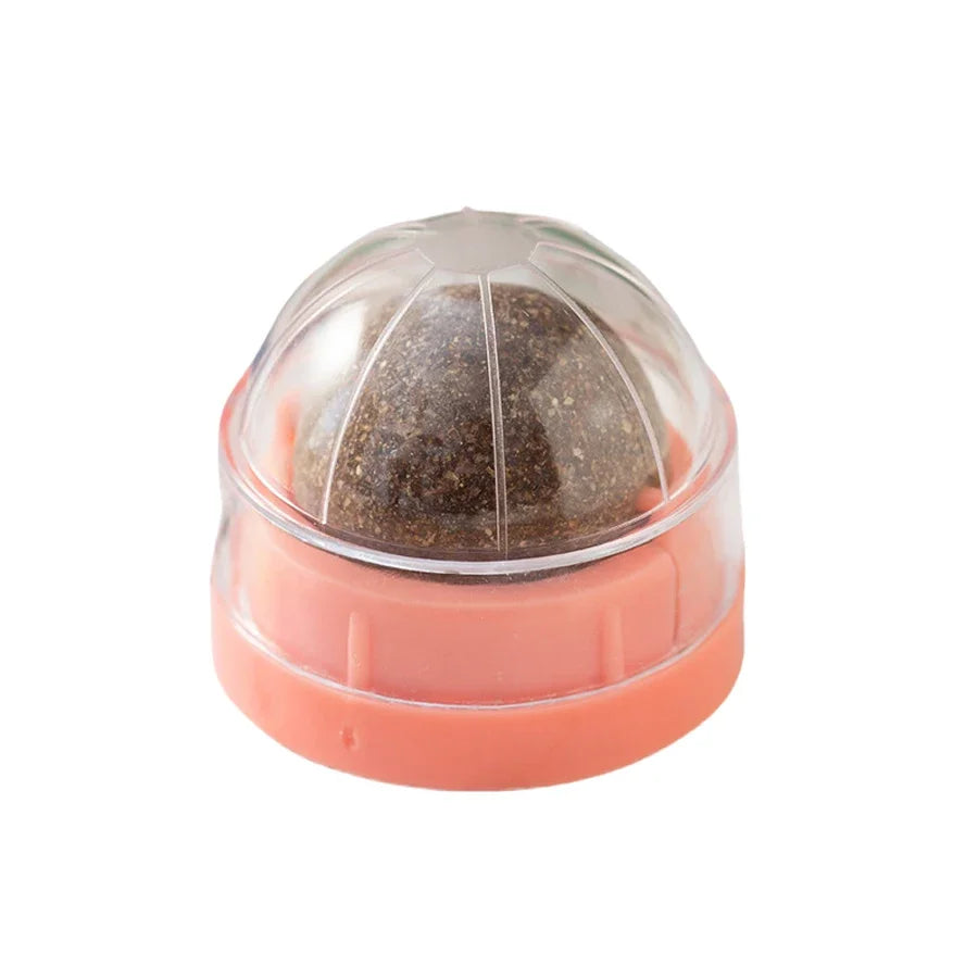 Spinning Catnip Mint Ball for Cats