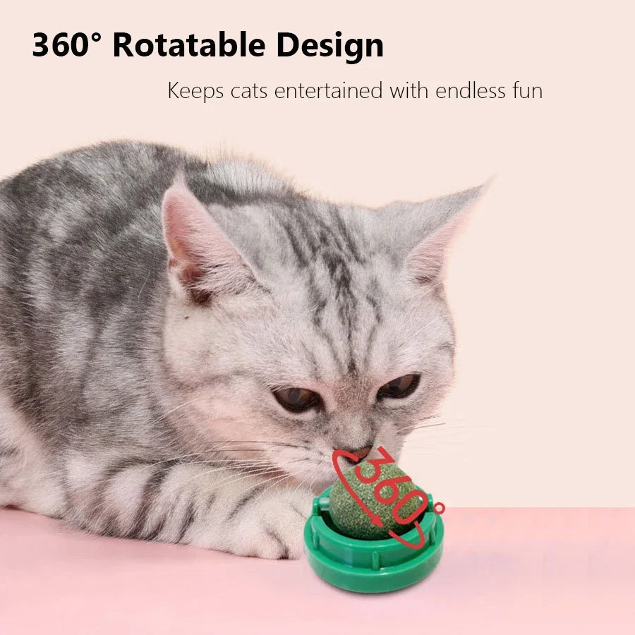 Spinning Catnip Mint Ball for Cats